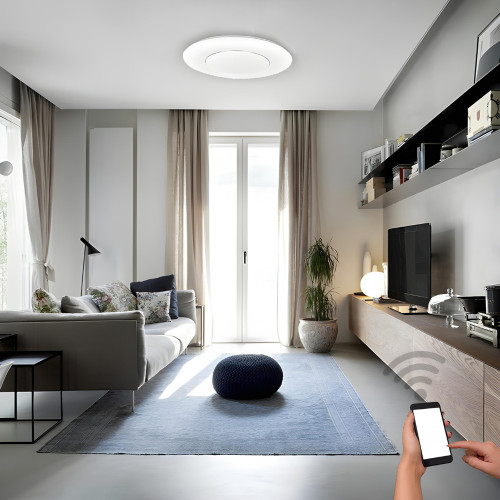 LB09-01232 LB09-01232